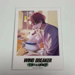 しいな様 リクエスト 2点 まとめ商品