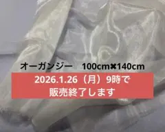 透明　生地　オーガンジー　100cm✖️140cm