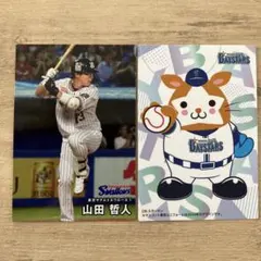 山田哲人 2025年 カルビー トレーディングカード