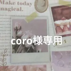 あみぐるみ「coro様専用」
