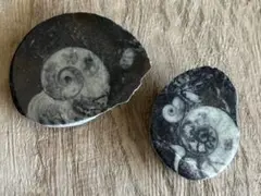 Item thumbnail for item 53fb8331-d865-45fe-99e7-1b334555491e