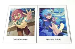 ぱしゃっつ vol.6 fine 開花前 ２枚セット