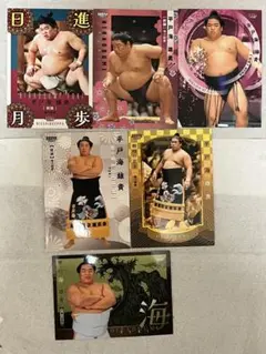 豊昇龍智勝 2021 2024 2026 BBM 大相撲カード 3枚セット - メルカリ