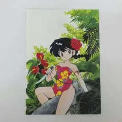 高橋留美子 原画カードガム らんま1/2のカード 9枚セット - メルカリ