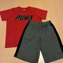 PUMA Tシャツとショートパンツセット　150cm