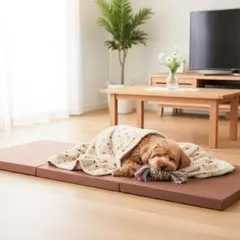 高反発 三つ折り ごろ寝マット 防水 防臭 180×70 車中泊 キャンプ