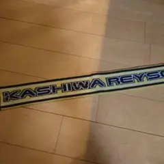 Item thumbnail for item bf652a29-af3f-483a-9ac2-d91da65b17e4