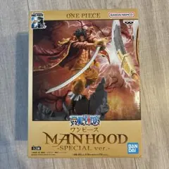 ONE PIECE MANHOOD SPECIAL ver.