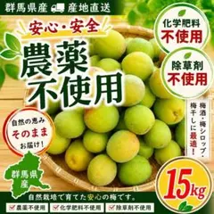 5月26日より順次発送【農家直送】 紀州南高梅 和歌山県白浜町産　秀 10キロ 5月26日より順次発送【農家直送】 紀州南高梅 和歌山県白浜町産 秀 10
