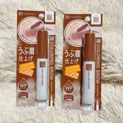 Item thumbnail for item 0245f90a-d307-48ab-9f17-ec21b1433d9b