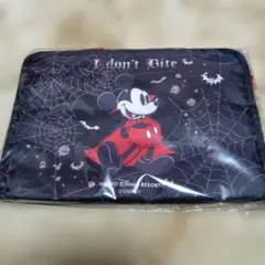 ディズニーリゾート　ミッキーバッグ