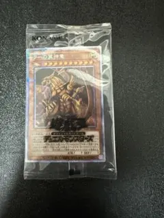 遊戯王 The Lady's Protector 日本選手権店舗代表 優勝景品 - メルカリ