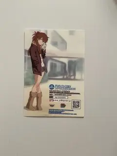 【アスカ】新世紀エヴァンゲリオン ブロマイド