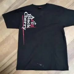 ★Acid Black Cherry 2015 FREE LIVE Tシャツ!