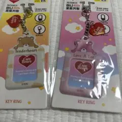 韓国DAISO限定〜ケアベアミニバージョン〜トレカケース2個セット②