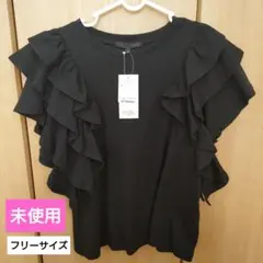【未使用】SUGAR SPOON ラッフルレイヤードTシャツ(フリーサイズ)のサムネイル
