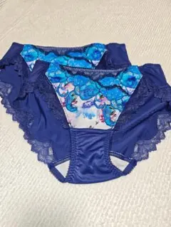 レッドレーベル バイ トリンプ0120 レギュラーショーツ　Мサイズ　2枚セット