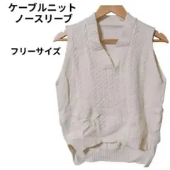 ケーブルニットベスト ✨️【フリーサイズ】ノースリーブ Vネック 白色