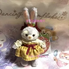 新品未使用品⭐︎ハートフェルトストロベリーギフト ステラルー