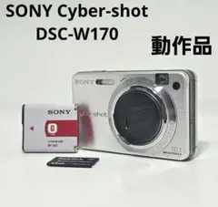 2025年最新】SONY DSC-W170の人気アイテム - メルカリ
