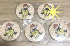 歌い手 めいちゃん 夢街ナイトウォーク ランダム缶バッジ 虎柄 直筆 サイン