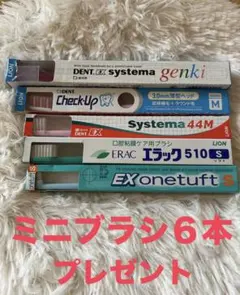 歯ブラシ&ミニブラシ６本プレゼント付 ↓説明文付きのサムネイル