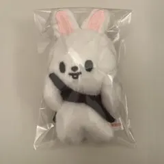 2026年最新】バンザイ skzooの人気アイテム - メルカリ