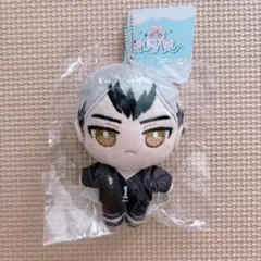 ハイキュー　ぬいパル　北信介