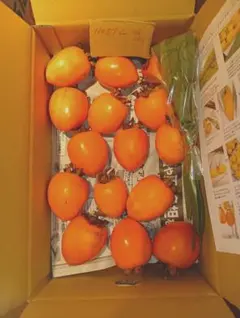 商品 No.51干し柿作り用愛宕柿 Ｌサイズ 250g程度果実46個10kg