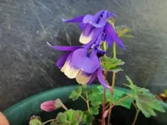 ⭐︎みきたまき⭐︎様 リクエスト 3点 まとめ商品