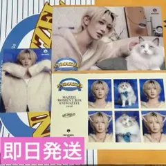 アニマーゼル　新品、未使用 2026年最新】アニマーゼルの人気アイテム - メルカリ