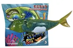 【未使用】　くじらアタック&co. アンドコ　セミクジラのサムネイル
