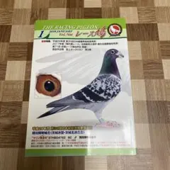 レース とまり木 9仕切りマス目棚　盆栽　苗木棚　工具棚　鳩道具　愛鳩の友レア とまり木 レース鳩 マス目棚 鳩小屋 盆栽 苗木育成棚 工具棚 鳩道具