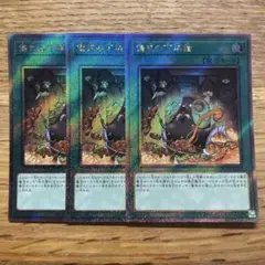 遊戯王 ラーバモス/進化の繭（セット売り） RB-07/RB-11 レア - メルカリ