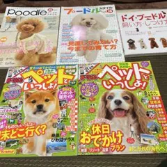 Item thumbnail for item 2ab38fca-c507-4226-a491-e55d12d6c8f8