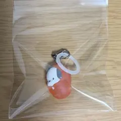 はぴだんぶい めじるしアクセサリーソロキャンプ ポチャッコ