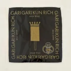 ガリガリ君 RICH 20周年記念 タオルハンカチ 今治タオル
