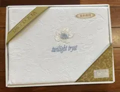 Item thumbnail for item 329cf73a-6ce8-4f0a-8c40-4a8178414762