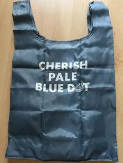 Item thumbnail for item 04eee96f-c3a8-4706-9d2c-9c7e1a240a44