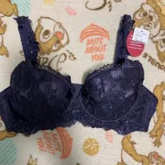ブラジャー ショーツのサムネイル