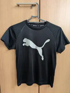 キッズTシャツ　プーマ