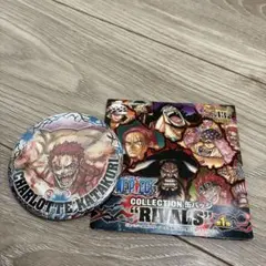 2025年最新】カタクリ 缶バッジの人気アイテム - メルカリ