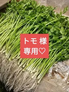 トモ 様 専用(*^^*)