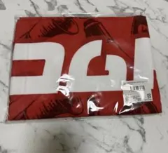 Item thumbnail for item 77260a1c-c599-4947-ba27-7a4faa3bc5ea