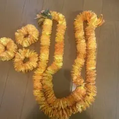 フラダンス　レイ