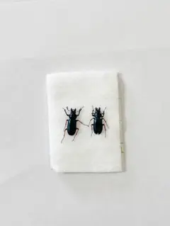 야마가타현의 사슴벌레 곤충 표본
