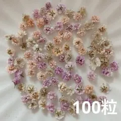 (04)かすみ草ドライフラワー100粒