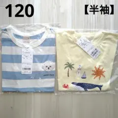 ③新品☆プティマイン 120 Tシャツ 2枚 くじら 犬 男の子のサムネイル