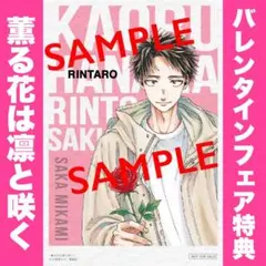 マガジンバレンタインフェア 第一弾 特典イラストカード K-9 藤丸仁