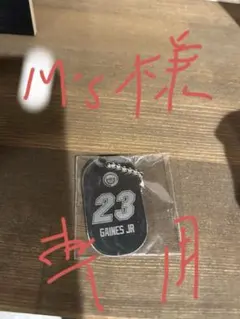 鹿児島レブナイズ　AJ